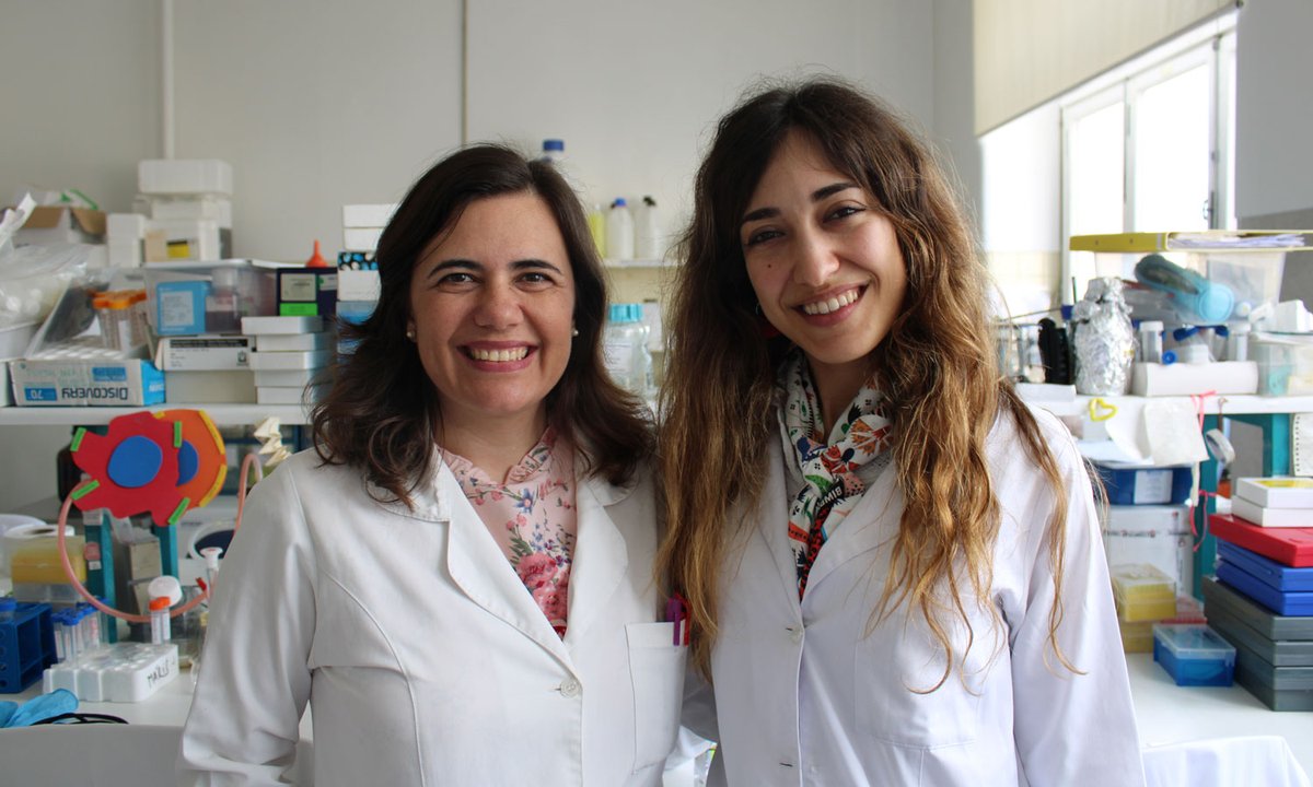 Center for Neuroscience and Cell Biology (@cnc_uc) on Twitter photo 📣#CNCResearcher Laetitia Gaspar and Cláudia Deus, researcher at <a href="/_MIA_Portugal/">MIA Portugal</a> (former #CNCResearcher), were awarded the L'Oréal Portugal Medals of Honor for Women in Science. 👏👏
Know more here👇
cnc.uc.pt/en/medalhas-de…
<a href="/cunescoportugal/">Comissão Nacional da UNESCO - Portugal</a> <a href="/fct_pt/">FCT - Fundação para a Ciência e a Tecnologia</a> <a href="/UnivdeCoimbra/">Universidade de Coimbra</a> <a href="/LOrealGroupe/">L'Oréal Groupe</a> 📣#CNCResearcher Laetitia Gaspar and Cláudia Deus, researcher at <a href="/_MIA_Portugal/">MIA Portugal</a> (former #CNCResearcher), were awarded the L'Oréal Portugal Medals of Honor for Women in Science. 👏👏
Know more here👇
cnc.uc.pt/en/medalhas-de…
<a href="/cunescoportugal/">Comissão Nacional da UNESCO - Portugal</a> <a href="/fct_pt/">FCT - Fundação para a Ciência e a Tecnologia</a> <a href="/UnivdeCoimbra/">Universidade de Coimbra</a> <a href="/LOrealGroupe/">L'Oréal Groupe</a>