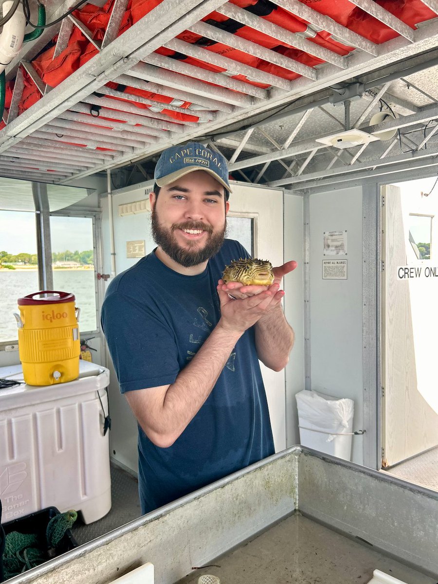 RestoreShinneco's tweet photo. Productive first day sampling in Shinnecock Bay! Blue crabs, burrfish, mantis shrimp, cunner &amp; more spotted. Water samples collected for eDNA analysis, monitoring biodiversity in new ways. Big thanks to volunteers, students, &amp; crew! @IOCS_OceanSci @SoMAS https://t.co/bPuNzf8F3N