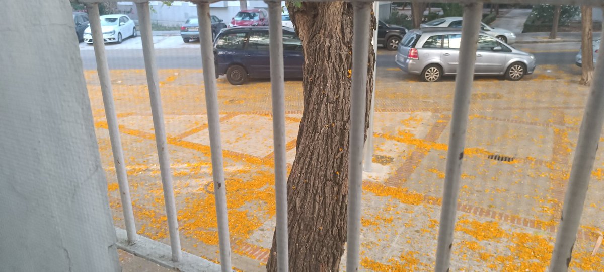 alvaritoodb's tweet photo. @CadizAbandonada falta de limpieza y dejadez en plaza de la barrosa y todo su contorno suelo pegajoso y suciedad por todos lados https://t.co/EM8TSmqeiV