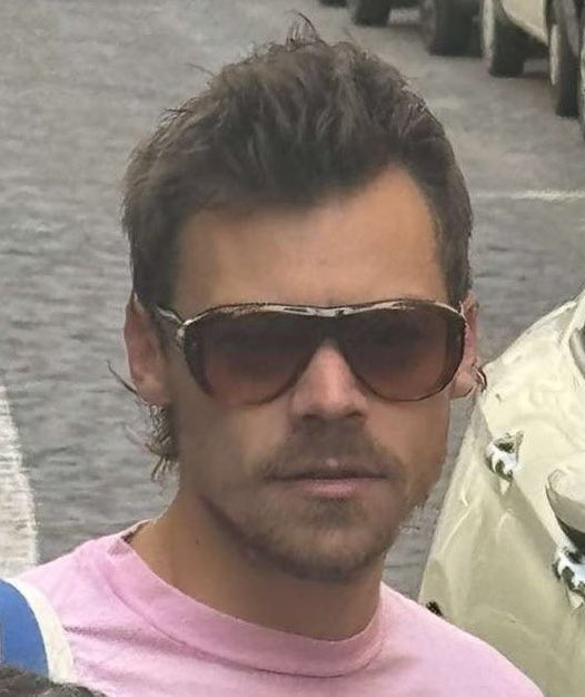 occasionaldsco's tweet photo. cant believe i’ve lived long enough to see harry styles reach the mullet phase of his hairstyle journey https://t.co/pa4Gb3D6aZ