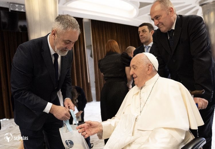 Observatorio UCALP tweet media