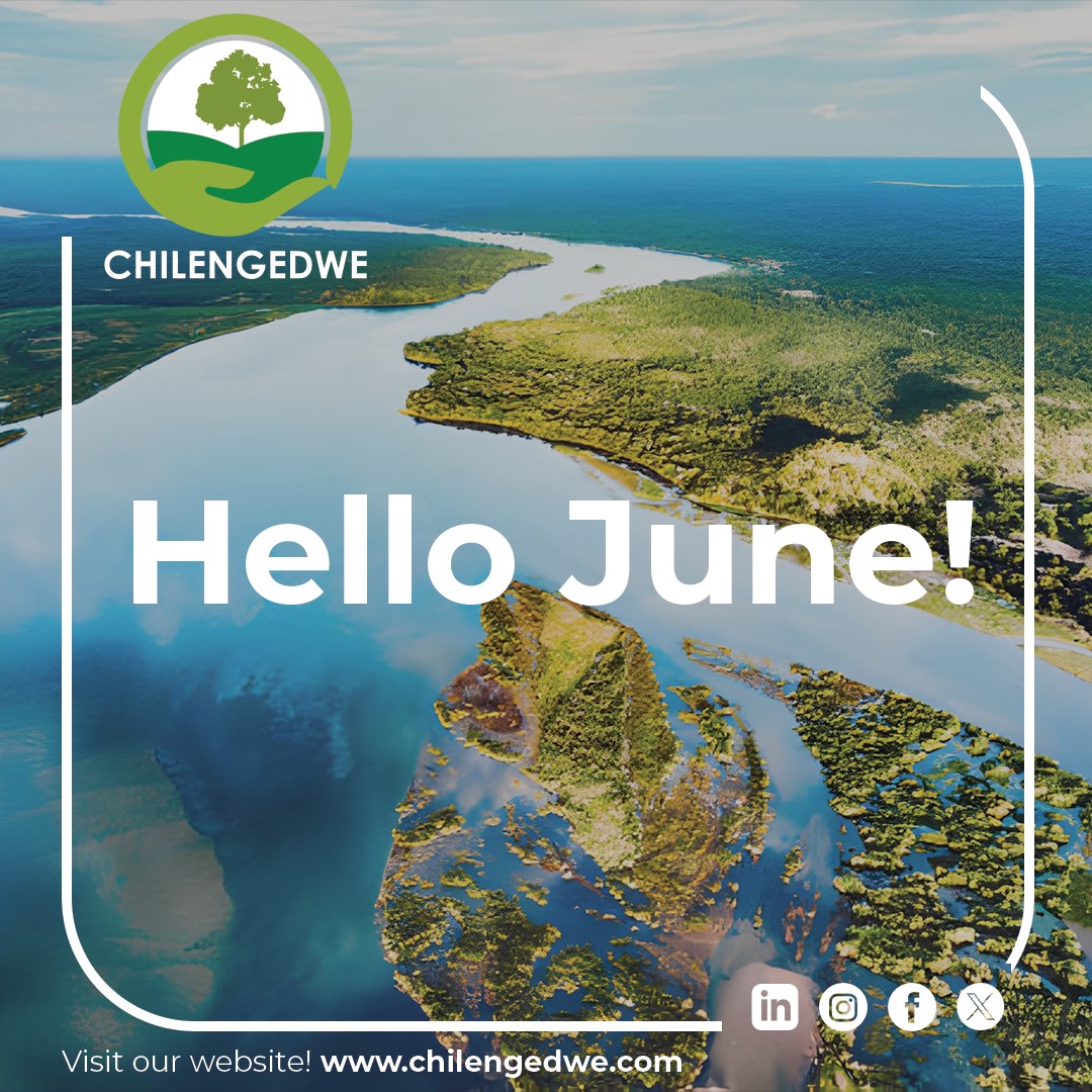 Chilengedwe (@chilengedwe) on Twitter photo 