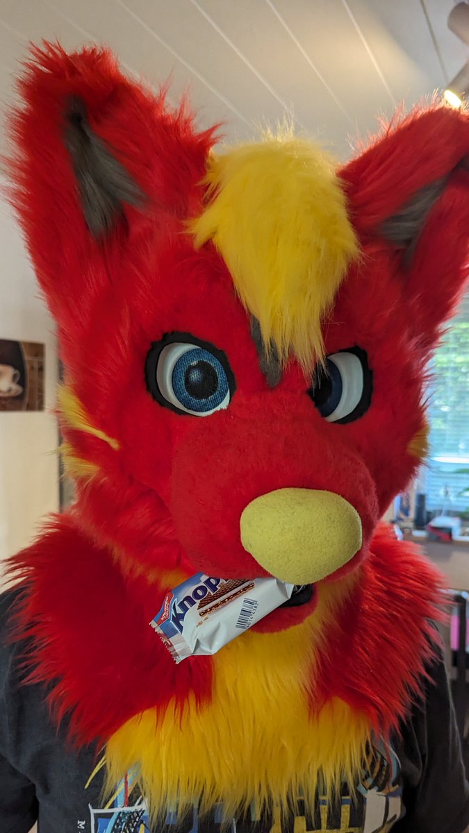 You know the rule, half past nine in the morning in Germany? First a Knoppers with <a href="/AuriFusky/">Auri Blueboy</a>
#knoppers #morgenshalbzehn
📸<a href="/ZitoTheHusky/">Zito</a>