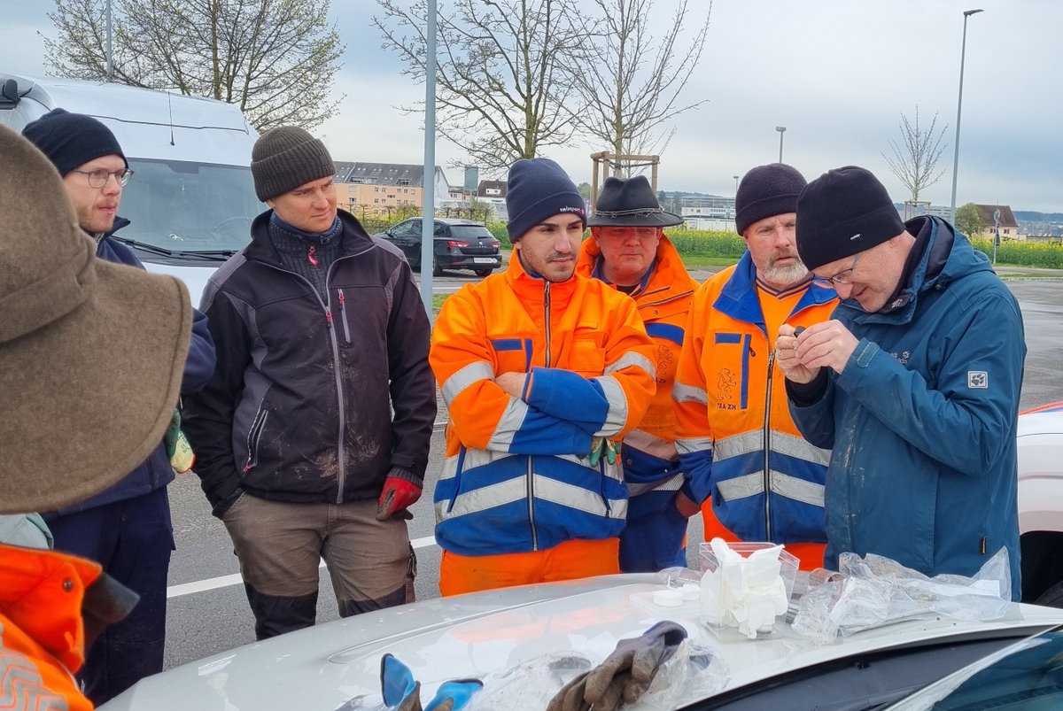 Together with the plant health service of the Canton Zurich, partner <a href="/agroscope/">Agroscope</a> was digging for grubs to get a first glimpse on the #PopilliaJaponica situation coming up in 2024.

Learn more in our current blogpost: popillia.eu/blog/popillia-…