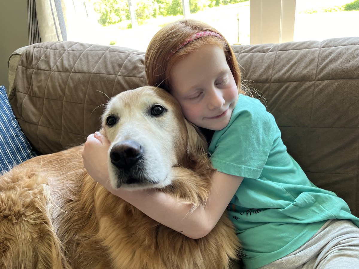 peggyfrezon's tweet image. A girl and her best friend. #GoldenRetriever #BrooksHaven #DogsAndKids #DogCelebration #GRC #SeniorDog #RescueDog