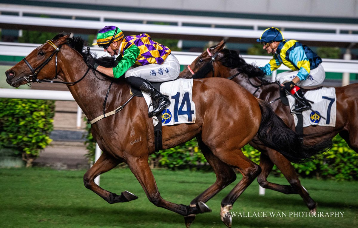 Wallacewanck's tweet photo. Lost Child ridden by Ben Thompson and trained by Michael Chang wins Race 11 at Shatin on Sunday.
#Horse #hkracing #hkphotographer #art #horsephoto #調教師 #horseracing #jockeys #騎手 #競馬場 #shatinracecourse #HorseRacing #gallop #benthompson https://t.co/A8qbnIRTcU
