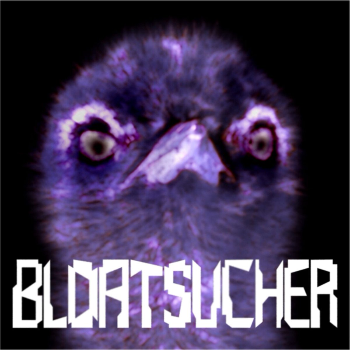 NetlabelArchive's tweet photo. Today in the year 2006.

Artist: Bloatsucher
Title: The Discipline Of Fibers
Label: Candy Mind Records

Download:
https://t.co/fxUD451w8u https://t.co/mjdoJO3YXj