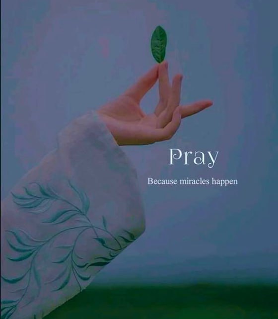 KindnessGarden's tweet photo. Pray Because Miracles Happen.🌟 https://t.co/e1Pdwabtbw