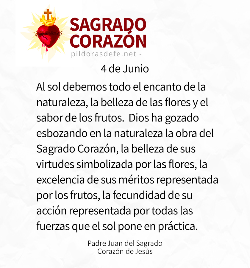 ❤️‍🔥 Día 4: Sagrado Corazón de Jesús. Devocional de 30 días, dedicado al Sagrado Corazón de Jesús, para que juntos propaguemos esta preciosa devoción. Sagrado Corazón de Jesús, en vos confío. ❤️ .