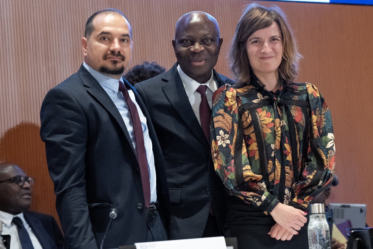 Corina Ajder tweet media