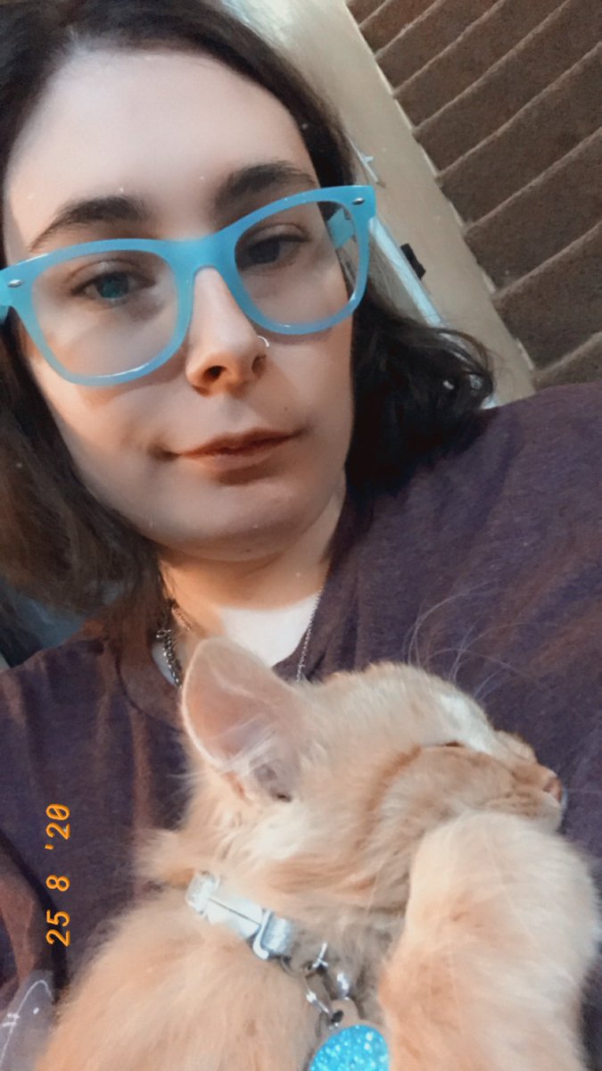 beverlyamichel's tweet photo. Itโs #hugyourcat day have a throwback of baby Freddie getting hugs and snuggles https://t.co/Fj2yAJfsFo