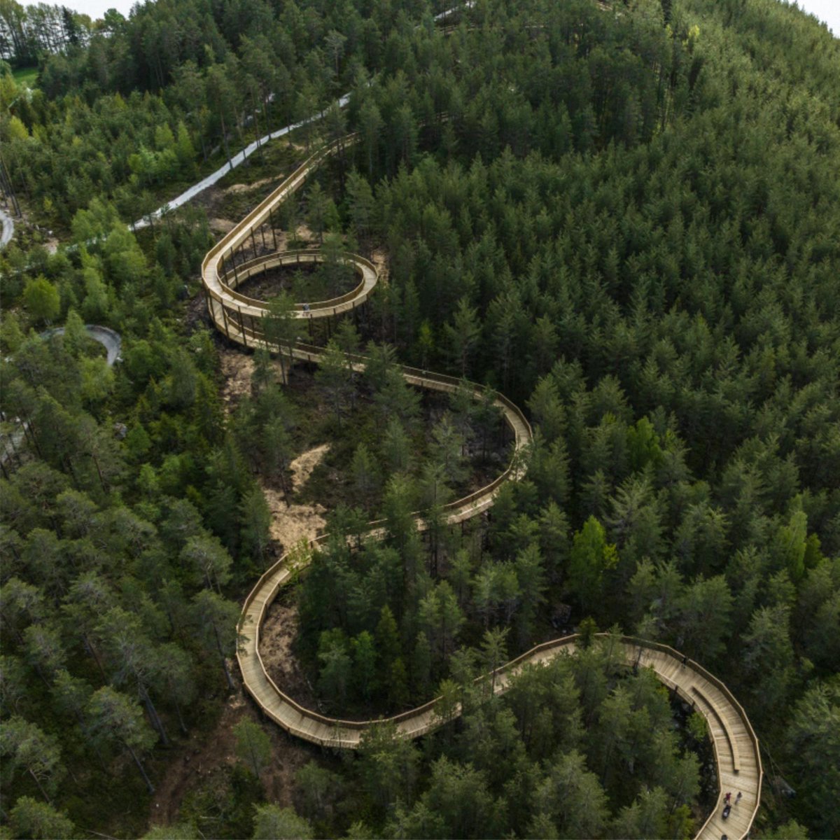 aasarchitecture's tweet image. Norway’s first treetop walk by EFFEKT
#landscape #treetop @effektarchitects tinyurl.com/5n9ysa6s