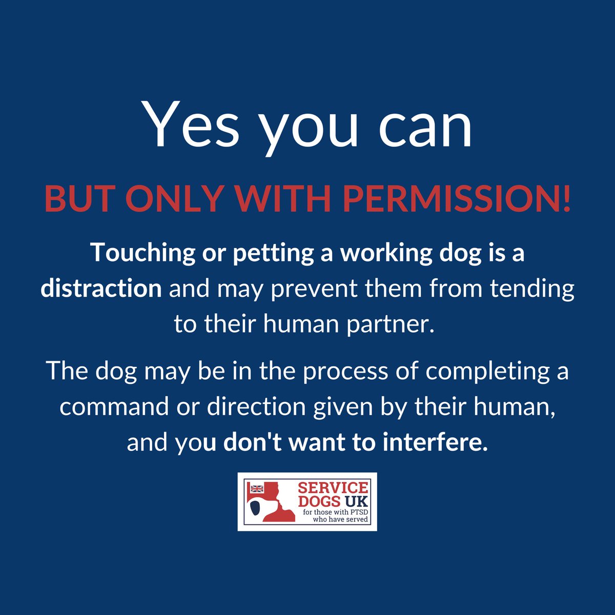 ServiceDogsUK's tweet photo. We know how it is, you see an adorable dog, you want to go over to say hello and pet them!
But, this particular pup may be wearing a red jacket, signaling they are an assistance dog 🐕🦺
Is it ok to pet them? Yes it is, but ONLY with permission!
#dogswothjobs #servicedogs https://t.co/xe9jOGZz2G
