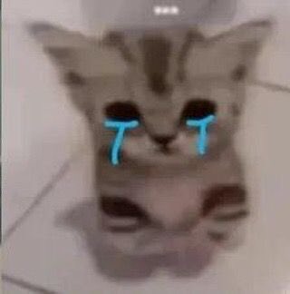 morpholar's tweet image. nao basta o pulso aberto, meu gato tinha que me morder bem nessa mão pra acabar com tudo