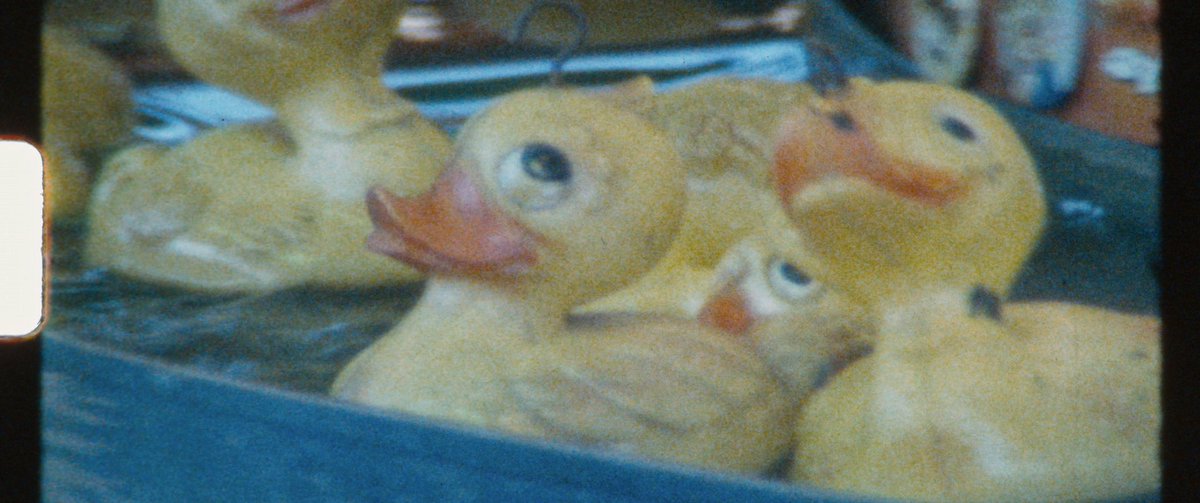 Samson Films tweet media