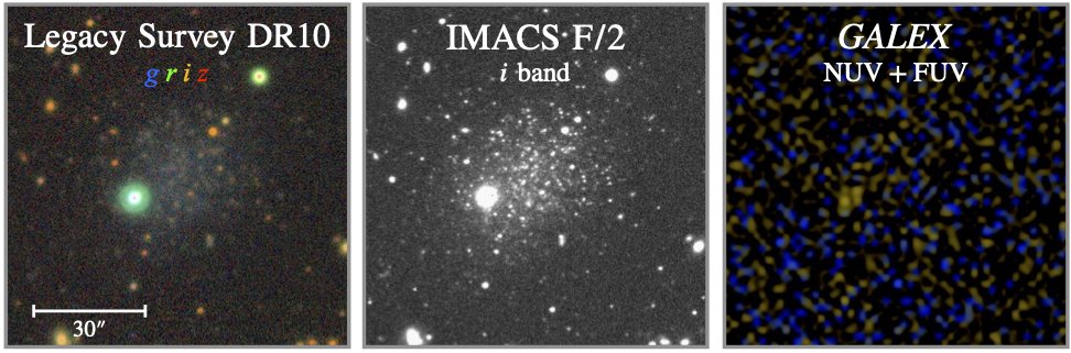 Jiaxuan Li tweet media