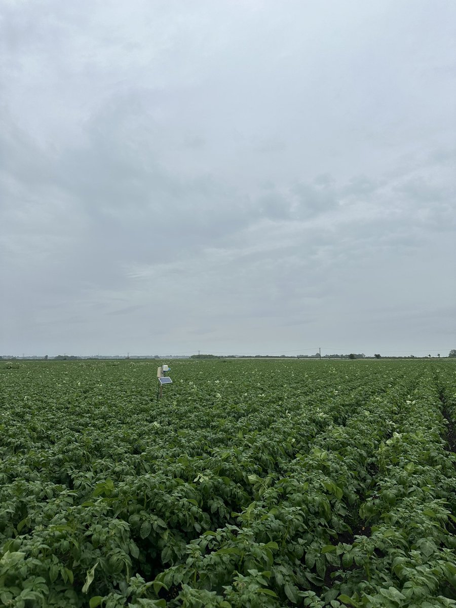 Oliver Dennis tweet media