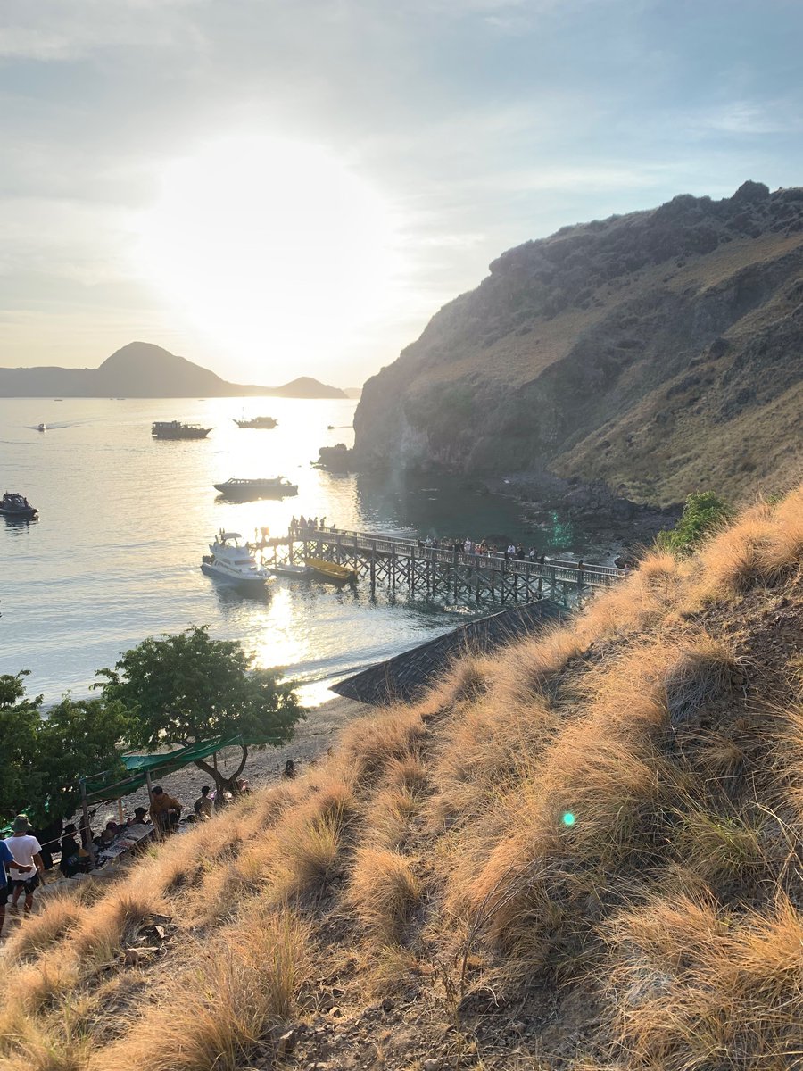 KomodoOneClick's tweet photo. Hope to travel with you someday in Komodo #komodo #labuanbajo #komodonationalpark #padarisland https://t.co/1m1ewlRJTw