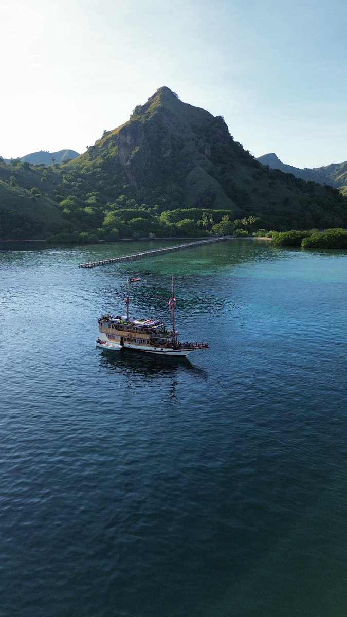 KomodoOneClick's tweet photo. Hope to travel with you someday in Komodo #komodo #labuanbajo #komodonationalpark #padarisland https://t.co/1m1ewlRJTw