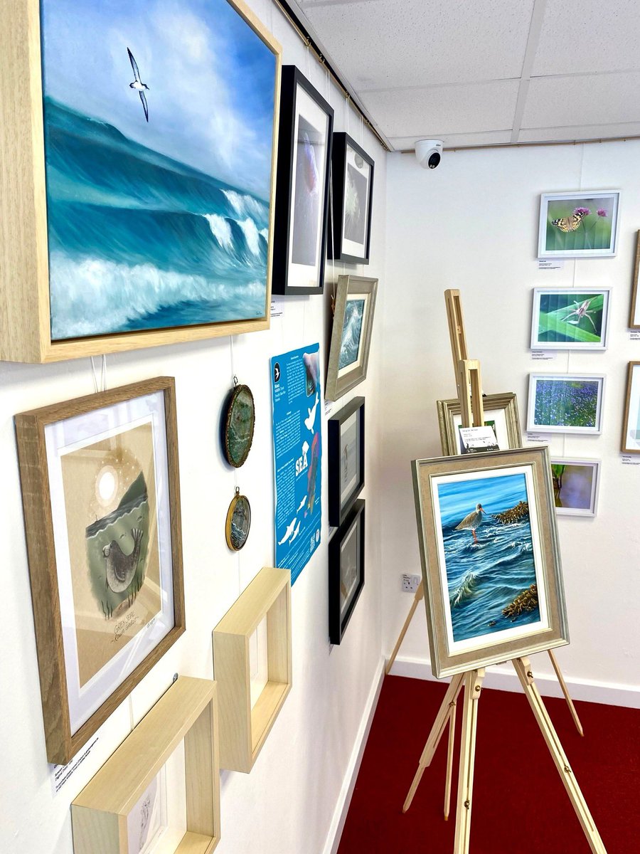 rushenheritage's tweet photo. Open now! The new exhibition at Rushen Heritage Centre in Bridson Street, Port Erin - Art of Wild - running until July 13. RHC is open 10am-4pm Tuesday to Saturday. Call in for a skeet!
https://t.co/HOhiramz53 https://t.co/pjpW5csIKZ