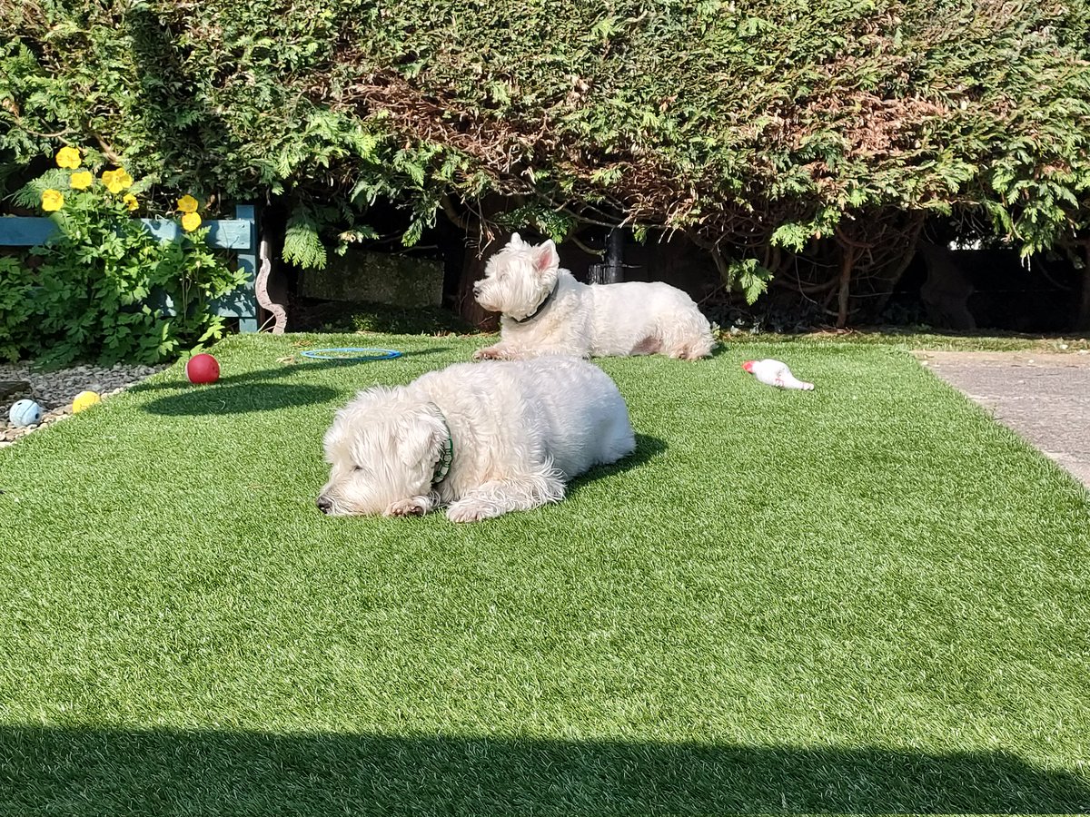 Barbara Morgan tweet media