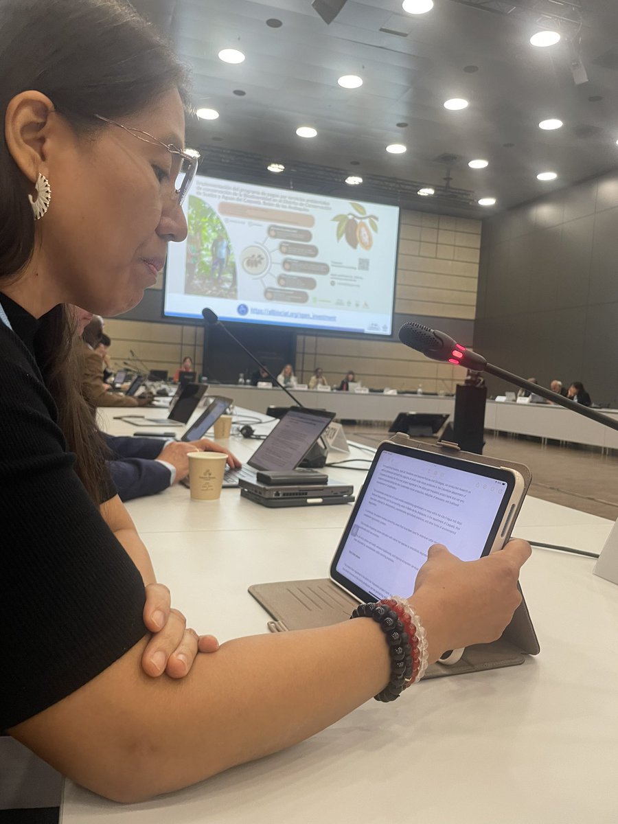 canuac_'s tweet photo. @BiovIntCIAT_eng groundbreaking example of a #NonMarketApproach project, supported by @IKI_Germany & @CGIAR initiatives #Mitigate+ and #AgrilacResilienteInitiative, was showcased at the #UNFCCC #SB60🌾🌍 #ClimateAction #SustainableFarming #SLUS https://t.co/VcqBAVNOSq