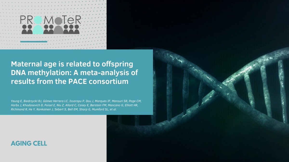 New Article! <a href="/PROMoTeR_DPM/">PROMoTeR_DPM</a> faculty Marie-France Hivert and team's article #Maternal #age is related to #offspring #DNA #methylation: A meta- #analysis of #results from the PACE consortium is featured in Aging Cell!

Read More Here: buff.ly/3VaWBjn