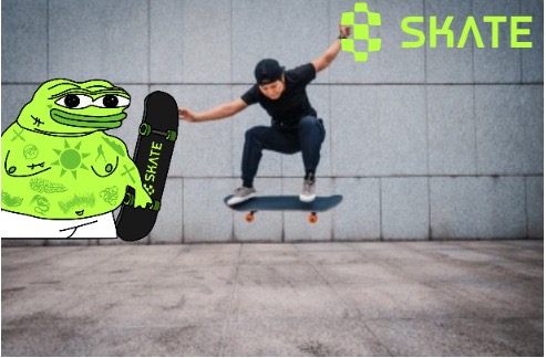 ElsaG79692's tweet photo. @skate_chain https://t.co/KjK7cqnVQb