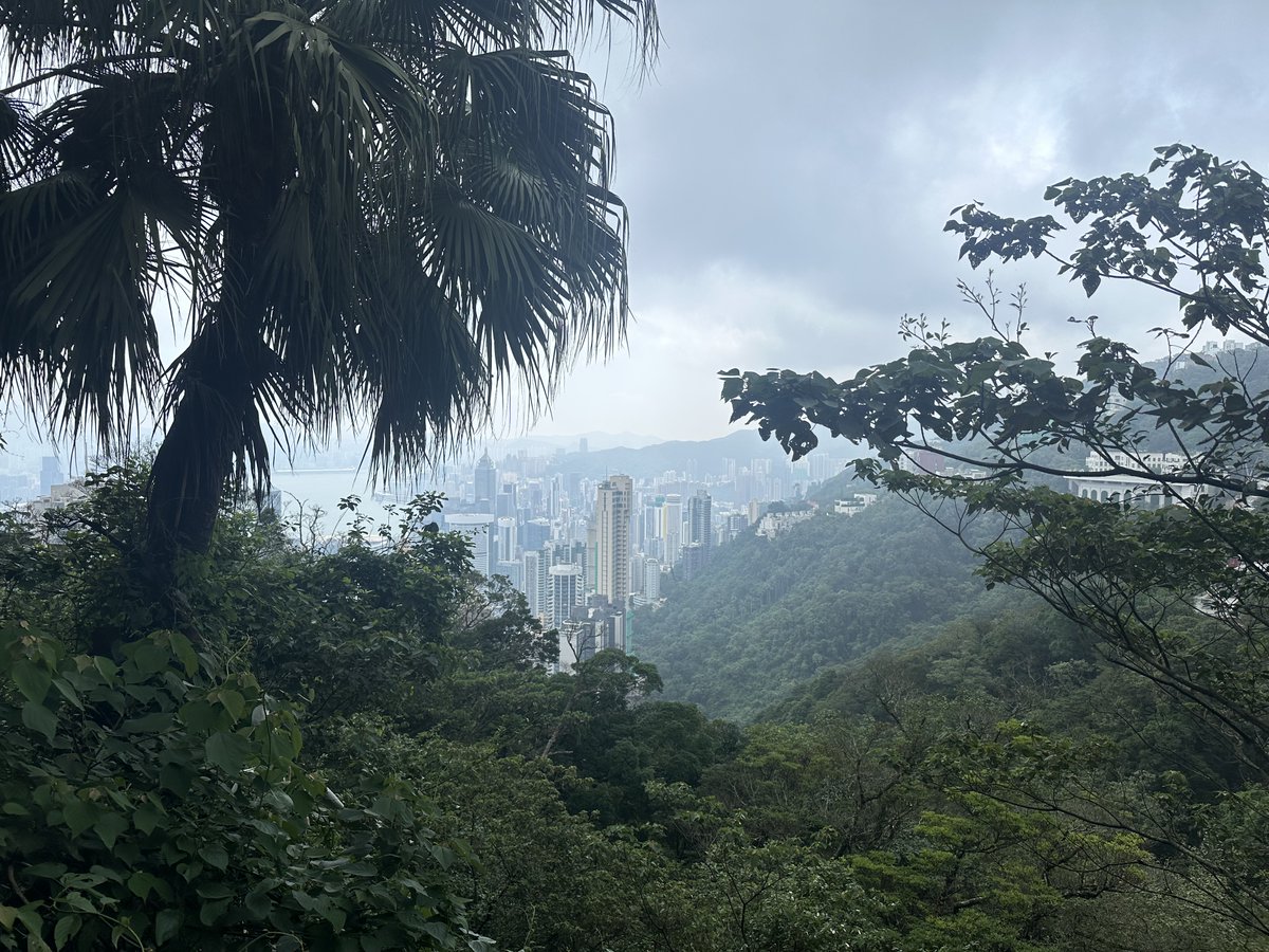 John A Rogers tweet media