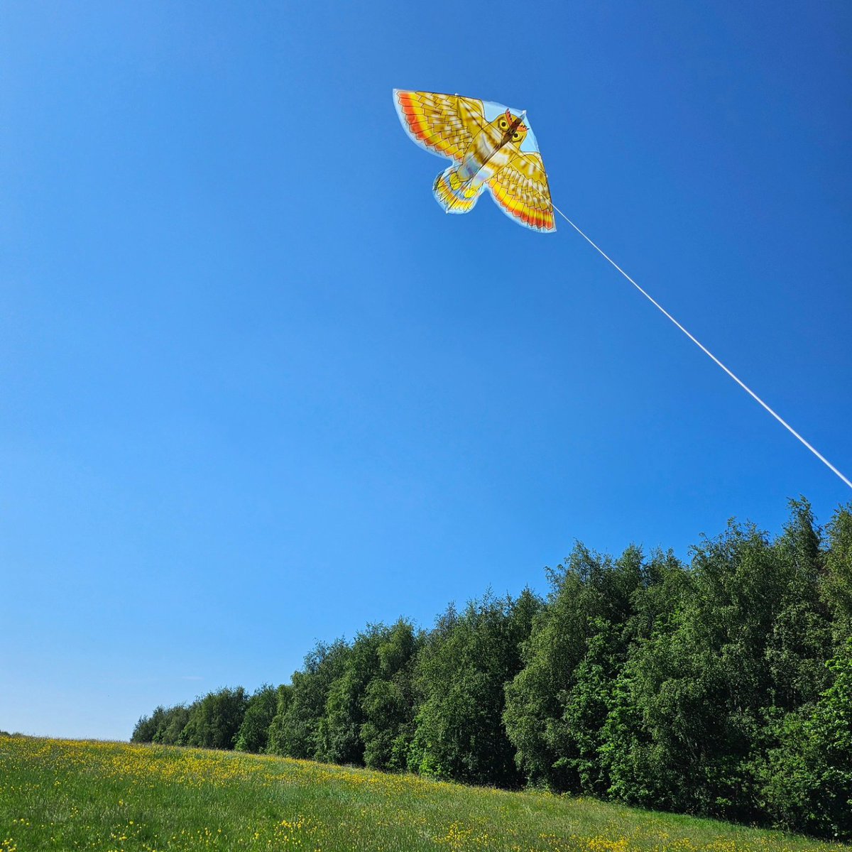 15minuteShipley tweet media