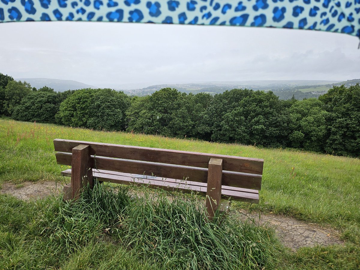 15minuteShipley tweet media