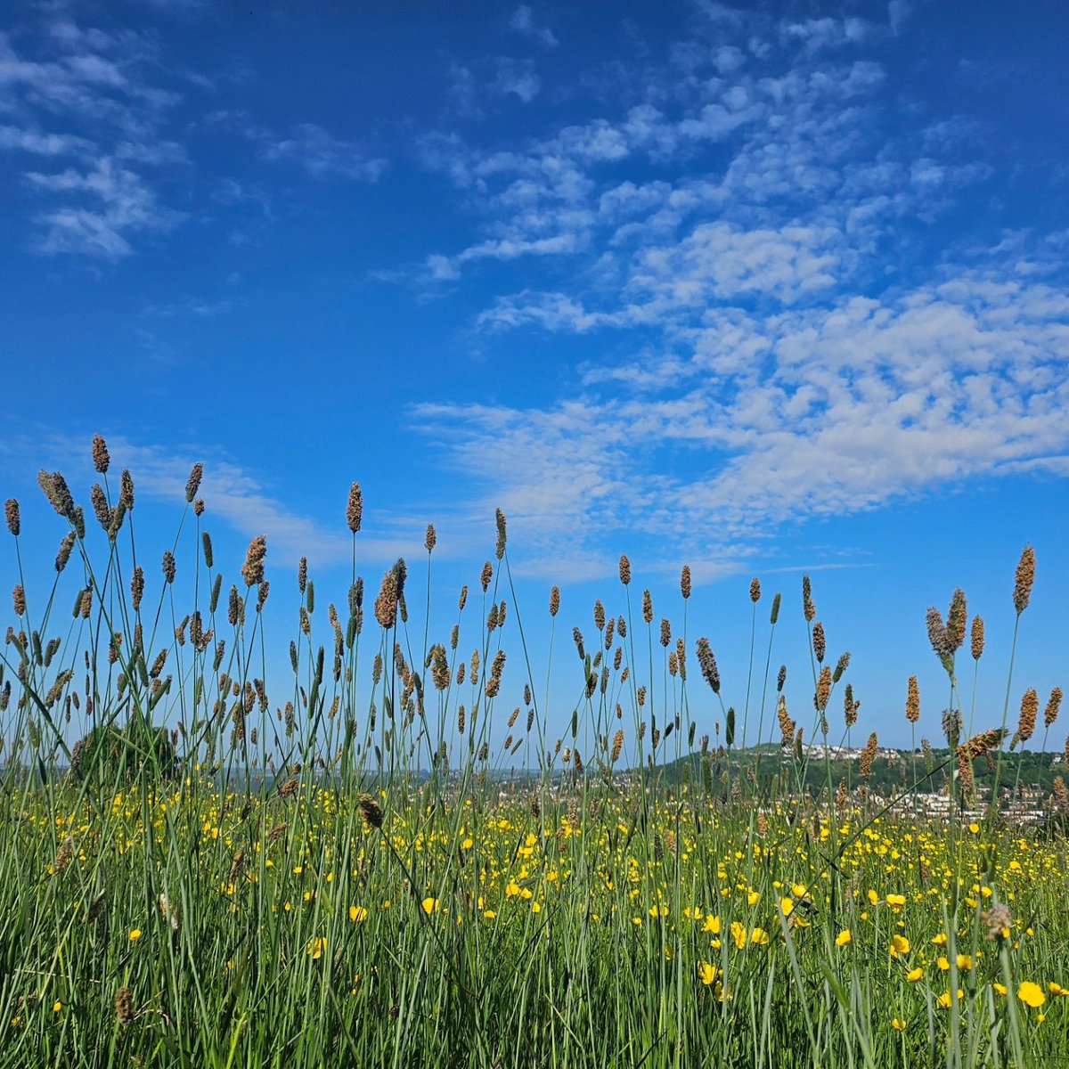 15minuteShipley tweet media