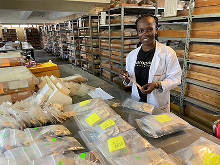 Rice Social Sciences tweet media