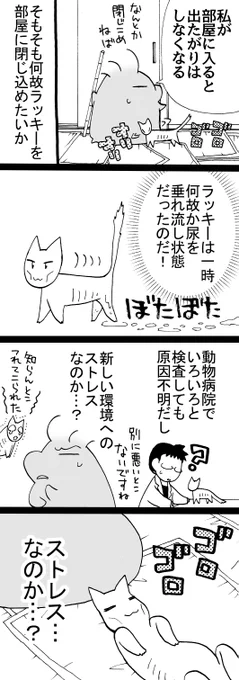 四コマ「拾い猫ラッキー17」特に理由なく、ある時からトイレに行かずに垂れ流しになりました。今は治って、普通にトイレが出来てます。何もしてないんですが、そのうちに何故か治りました。#猫 #四コマ漫画 #御かぞくさま御いっこう 