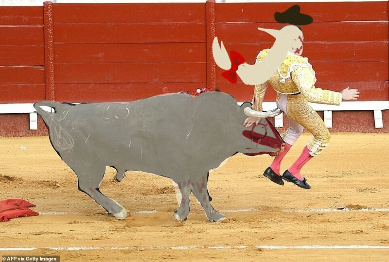Ruboeb's tweet photo. Someone's lover

#SpanishArmada
#Armada
#bullfight
#Spain 
#SpainsFleet 
#RoyalNavy
#CH 
#CountryHumans https://t.co/IhZmvuyPUZ