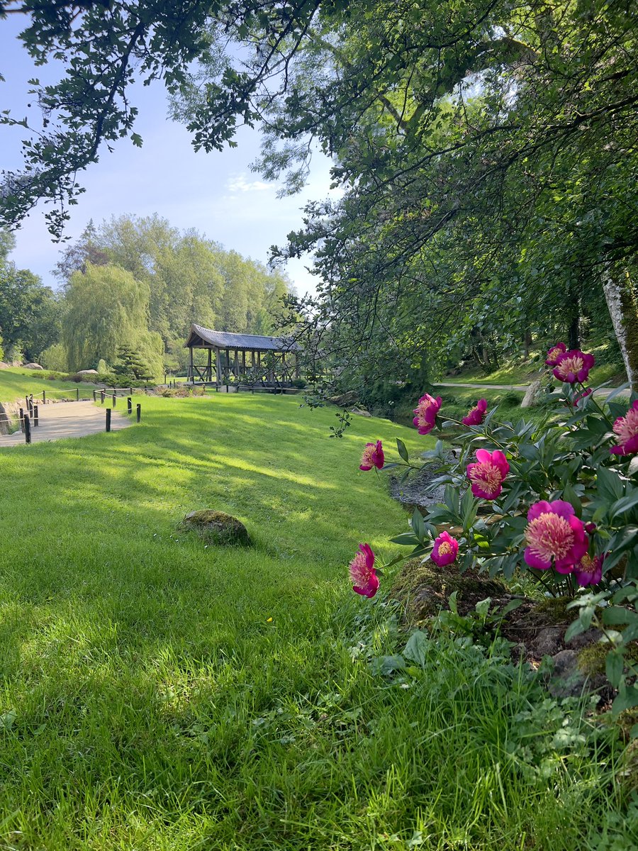Parc Oriental tweet media