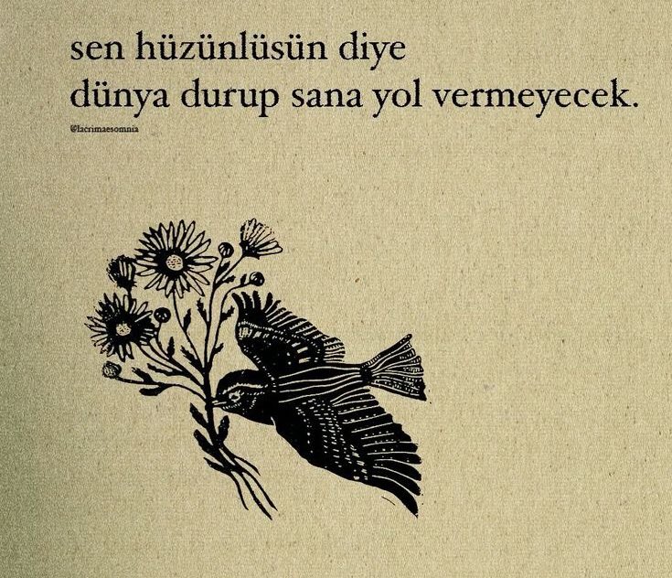 ilssonteuxsair's tweet photo. “Sen hüzünlüsün diye 
dünya durup sana yol vermeyecek.” https://t.co/k8eB356hgB