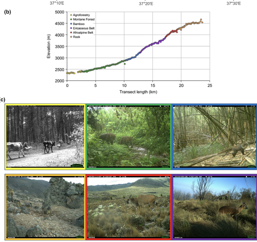Roland Kays tweet media