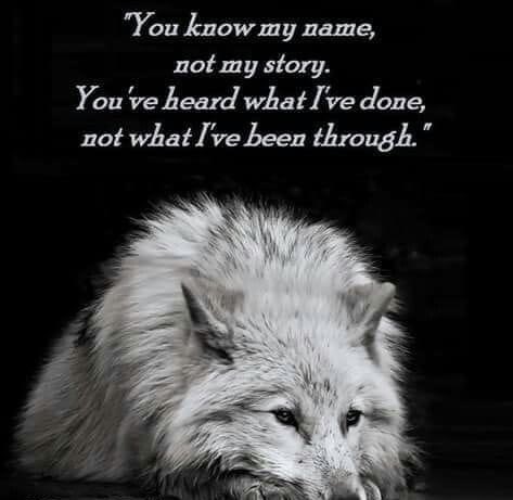 Arek Jordan 🐺📿🔥 tweet media