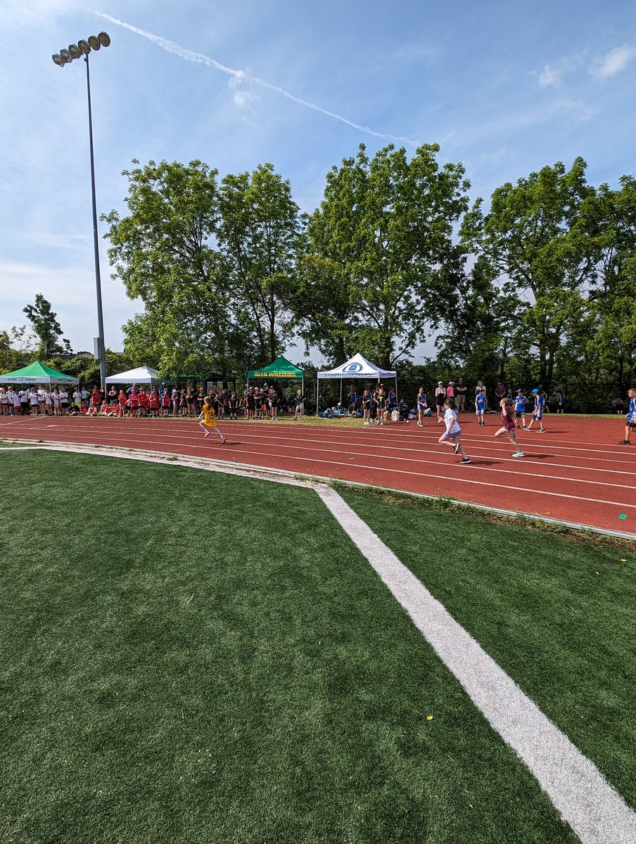 SODeanBarnes's tweet photo. Wonderful weather at the north schools Track and Field meet today at Georgetown High School! https://t.co/xJlqwHL1at