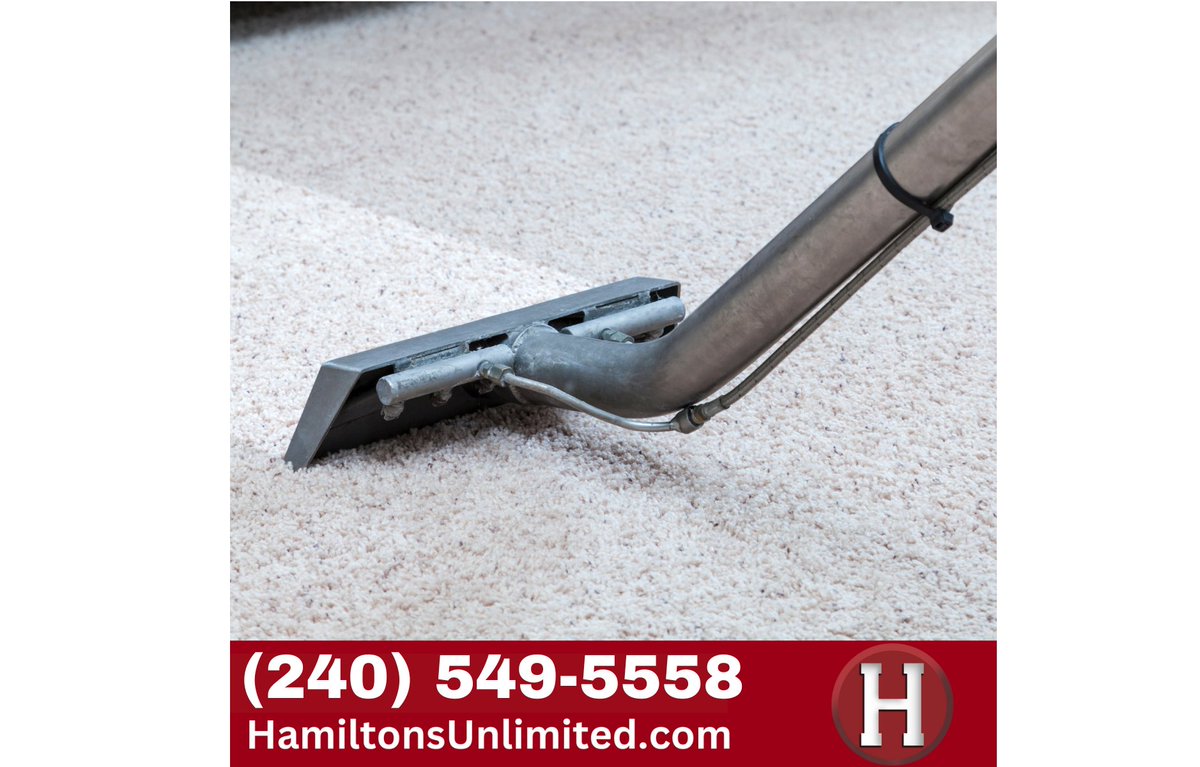 hamilton21769's tweet image. Carpet Cleaning Frederick County

Say goodbye to dingy carpets with Hamilton's Unlimited in Frederick County, MD. Our advanced cleaning techniques will leave your floors spotless.
#carpetcleaning #carpetcleaningcontractor #frederickcountymd