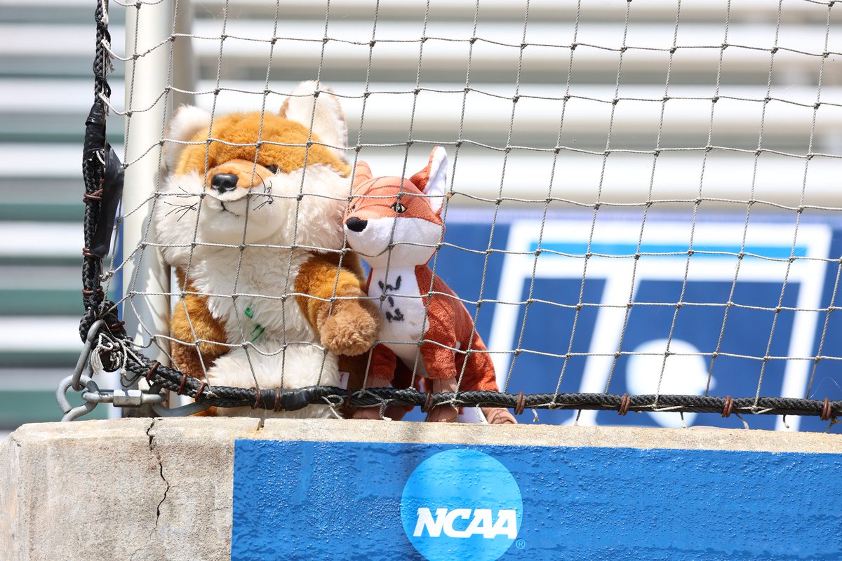 UIndyBaseball's tweet photo. There's only one thing to do...
#SilverHairedFox https://t.co/301qviWZ1Q