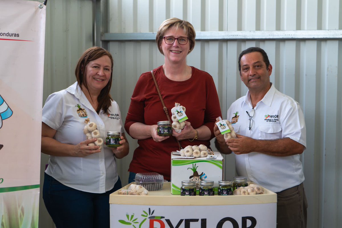 usembassyhn's tweet image. ¿Sabías qué? El año pasado, gracias a programas financiados por 🇺🇸, 11,247 jóvenes hondureños consiguieron empleos de tiempo completo, mientras que  más de 14,000 retornaron  a sus estudios o completaron su educación. ¡Impulsando el futuro de 🇭🇳!