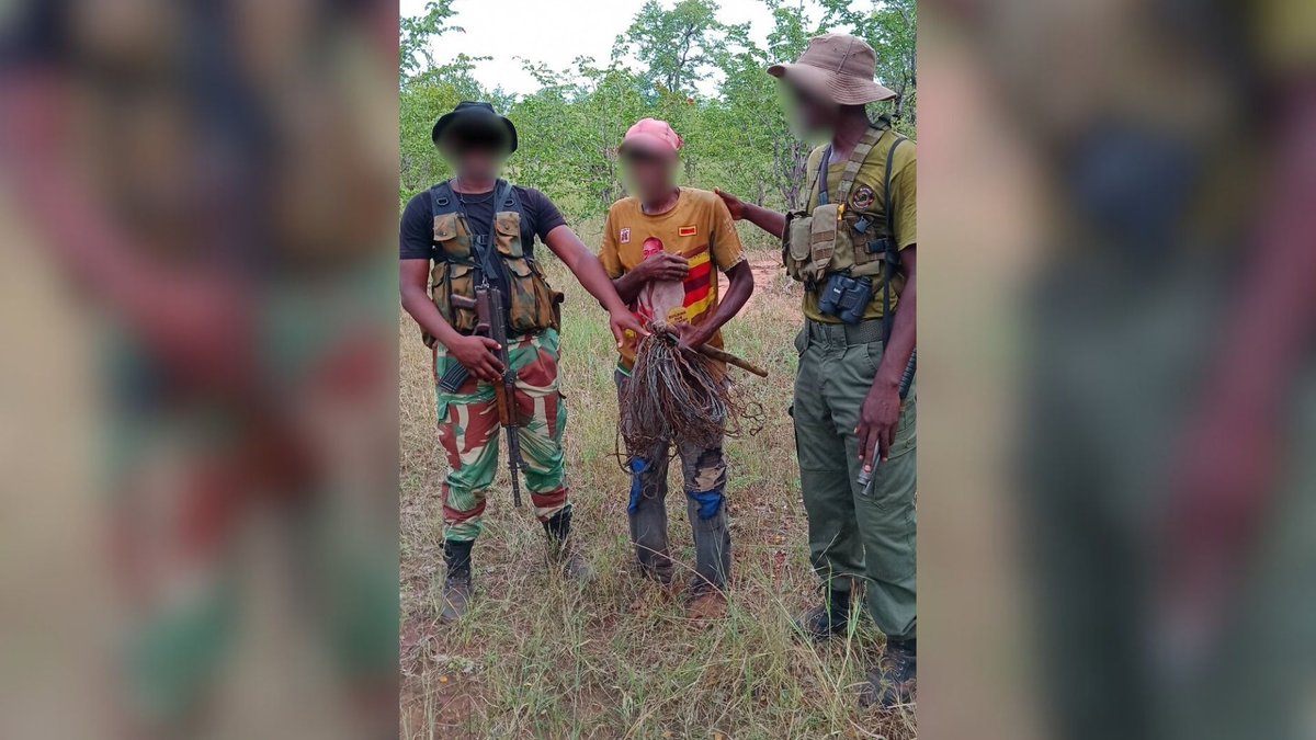survivalanimal's tweet photo. YOUR DONATIONS IN ACTION: Anti-poaching team removes illegal snares & fishing lines, stopping #poachers in their tracks. Thanks to you, we have helped the team in #Zimbabwe remove 1,285 snares from the area. Find out more: https://t.co/FyAWwvaLnR
#ASIUpdates #BHAPU #SnareAware https://t.co/e2udk7XO5K
