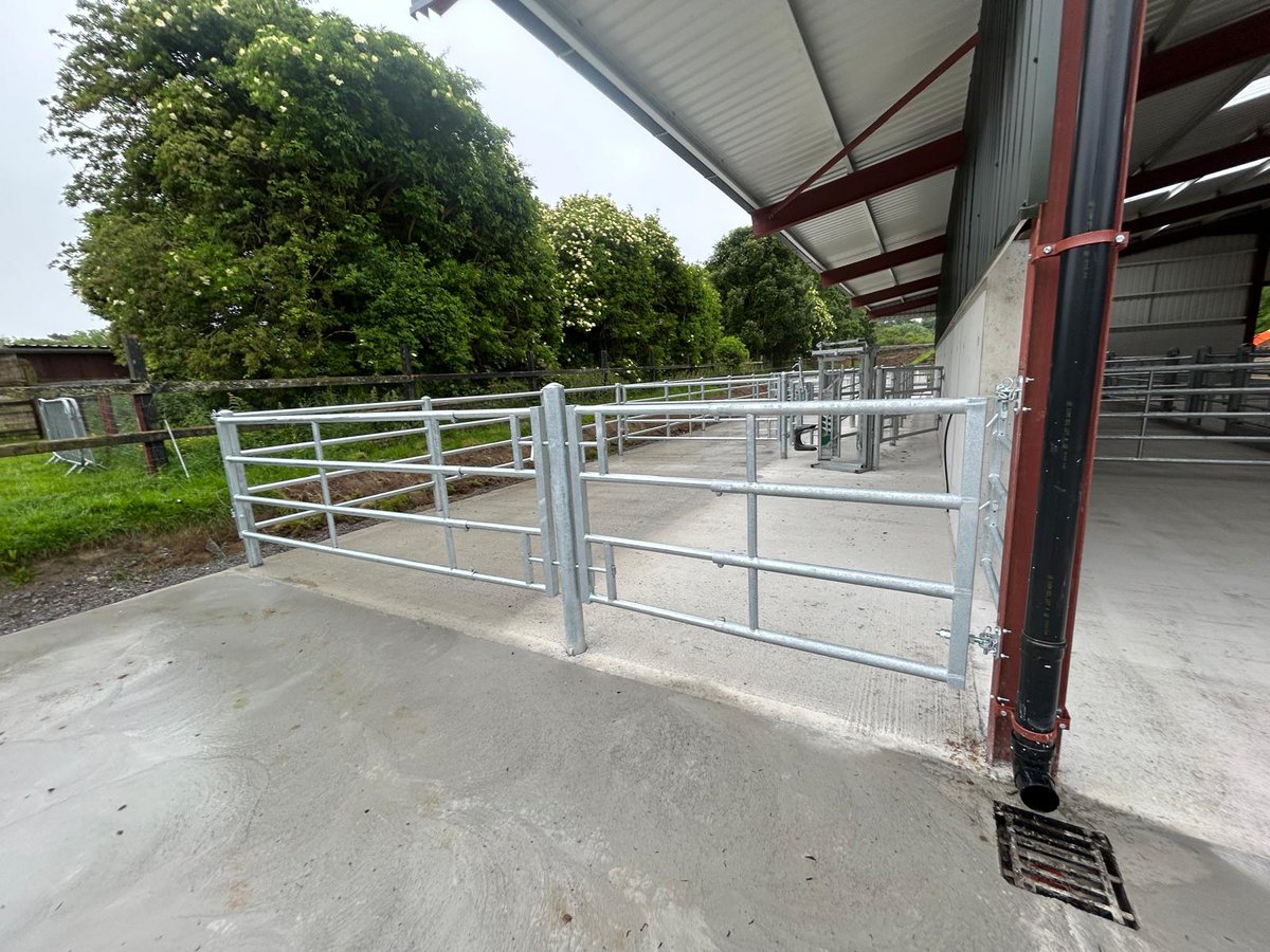 Co. Dublin📍
Tidy cattle crush &amp; shed kit-out recently completed🐄 --Post and rail &amp; crush gate panels
 -4 bar &amp; 5 bar dividing gates
 -Beef head gate &amp; head scoop
 -Feed barriers
 -Suckler calving gate

+353-419826379
condonengineering.ie
