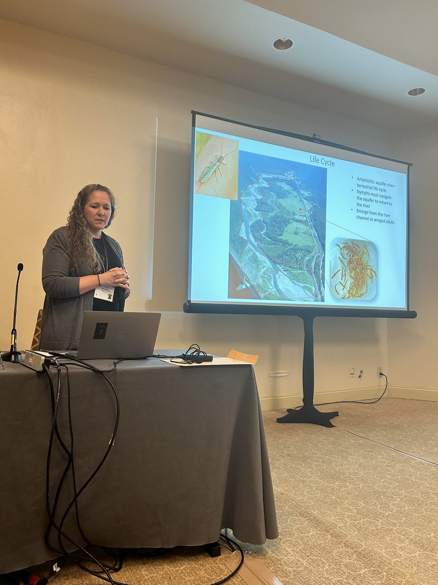 Amanda DelVecchia tweet media