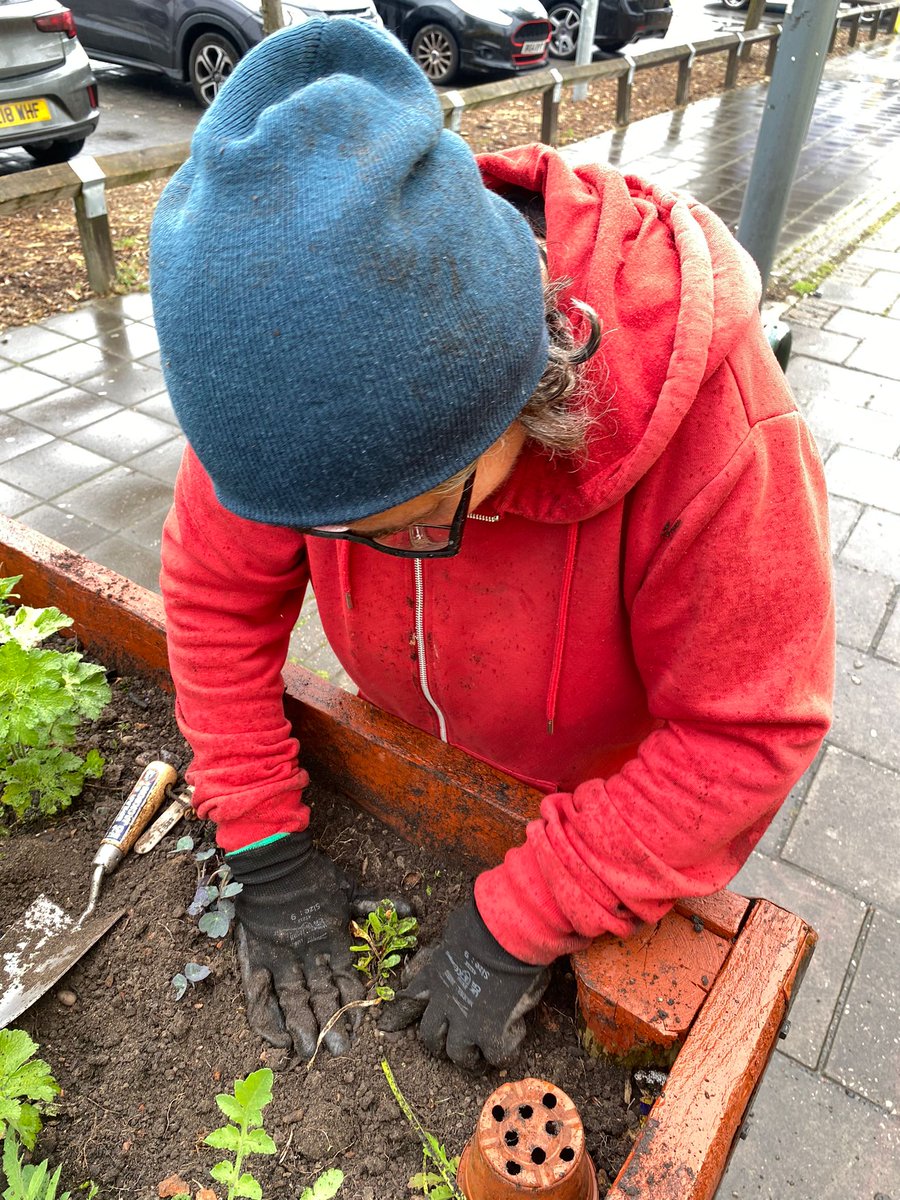 fruitnutvillage's tweet photo. Improving the #MoseleyRoad planters in #BalsallHeath today. #PostcodeGardener #GrowTheVillage https://t.co/FKbRjjCYYA