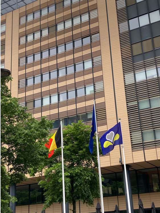 nicdemoy's tweet photo. @brusselshatesp1 @GeorgesGilkinet @elkevdbrandt @BartDhondt @rbc_bhg @PaulineDeglume @YassineMossati @SmetPascal @better_brussels @BrusselsTimes @HugoPoliart Mon travail ici est fini.  Merci à toutes et tous pour cette aventure palpitante !!  #cestpasmoicest   #blackflagmidi https://t.co/VUTnCNwzTA