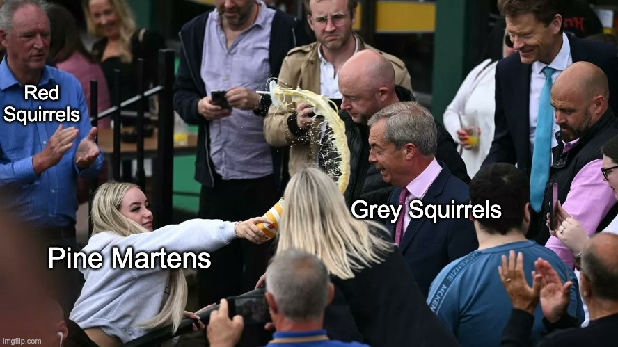 Pete Cooper tweet media