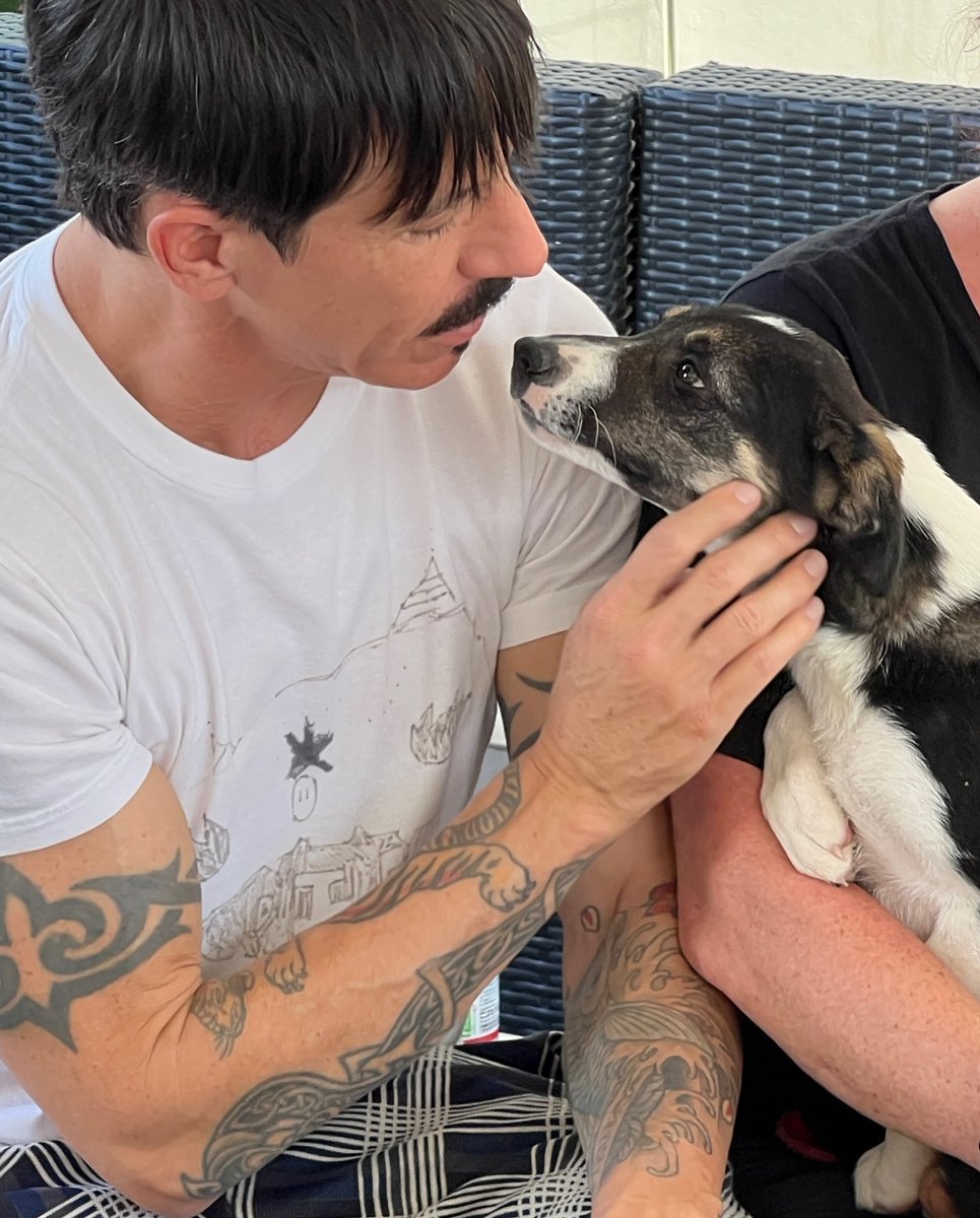 ChiliPeppers tweet picture